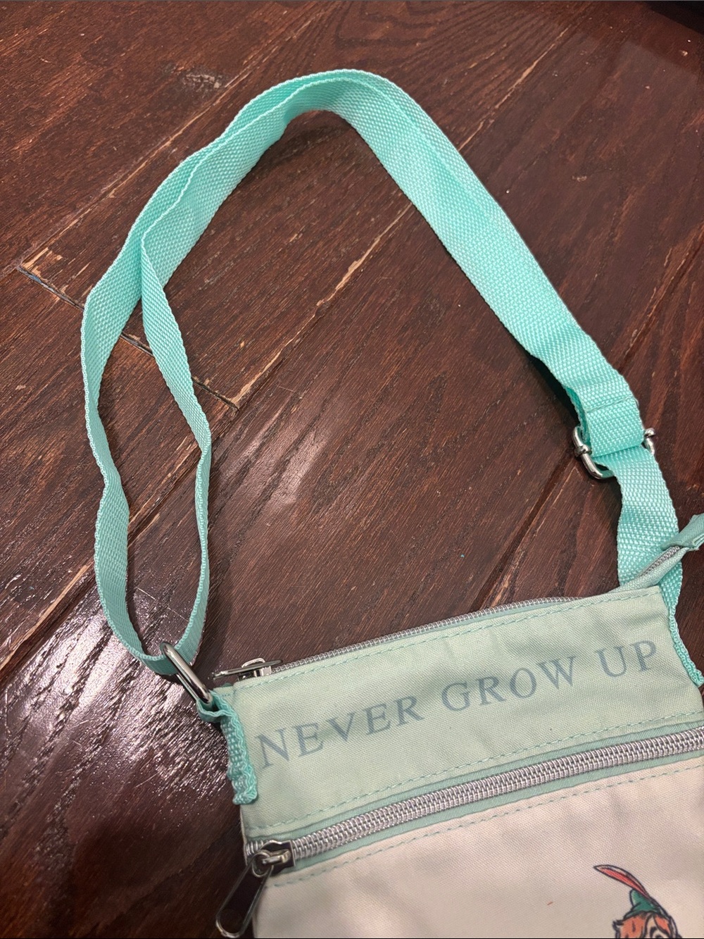 Disney Loungefly Peter Pan Never Grow Up Adjustable Strap Crossbody Like New - Picture 3 of 5
